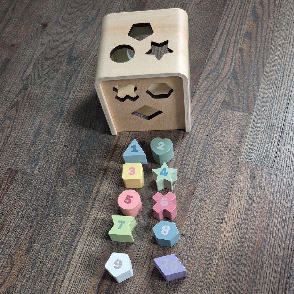Colorful Wooden Shape Sorting Toy
